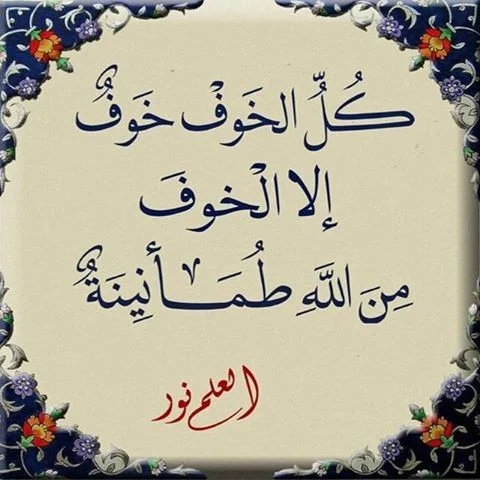 2cd2f86b6cdb710-a-nw-p.webp