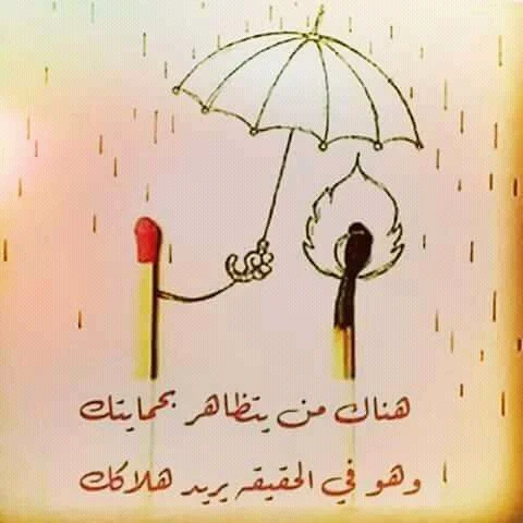 FB_IMG_15230165115219185.webp