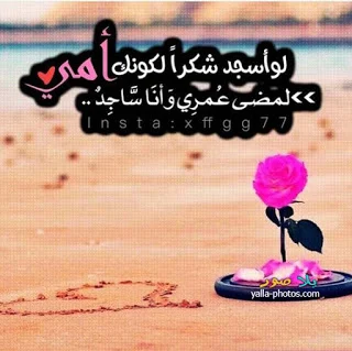 100a7077adba5263185be251936e88e0.webp