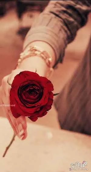 téléchargement (8).webp