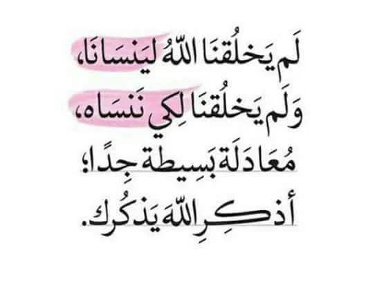 a124e422ce43624-a-nw-p.webp