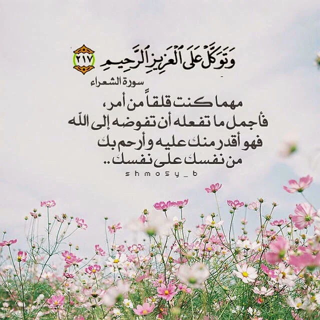 instaG_٢٠١٤_١١_١٩_٠٥.٣٥.٥٨.webp