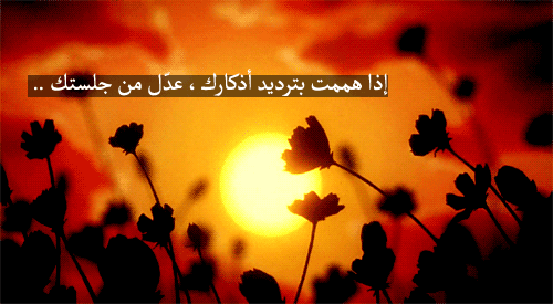 1.gif
