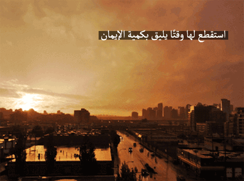 8.gif