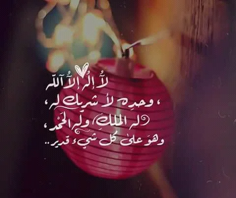 FB_IMG_15260397205821617.webp
