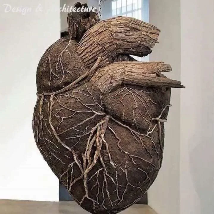 7C274E52-FB99-41F4-9FCE-05C1CFA758F3.webp 7C274E52-FB99-41F4-9FCE-05C1CFA758F3.webp