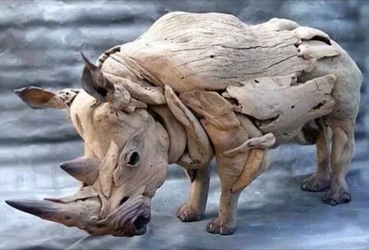 B9801A3E-4D59-424E-B960-6EDBB9A0847D.webp B9801A3E-4D59-424E-B960-6EDBB9A0847D.webp