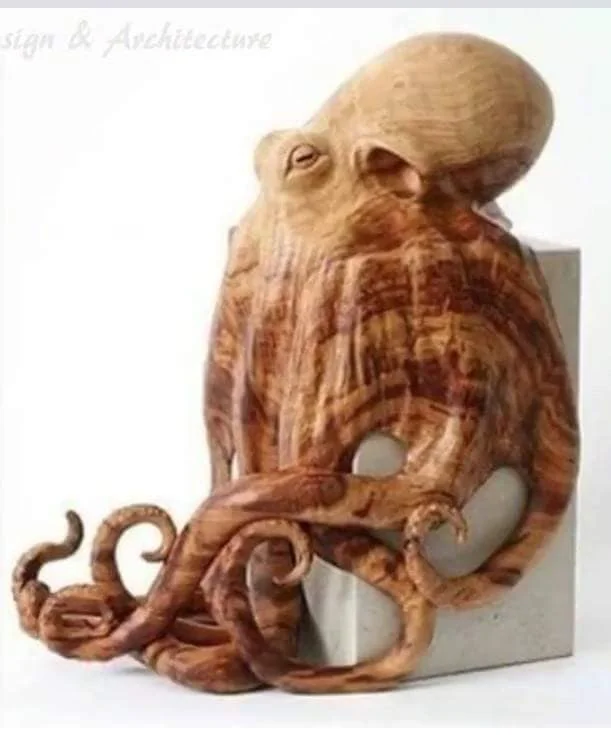 1704F556-61A7-4F06-9054-A993DA417CFB.webp 1704F556-61A7-4F06-9054-A993DA417CFB.webp