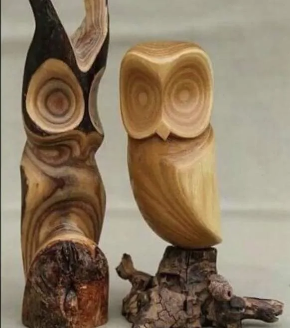 EDD004B7-117F-4549-8CF3-CA6E9704852D.webp EDD004B7-117F-4549-8CF3-CA6E9704852D.webp