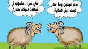 25.webp