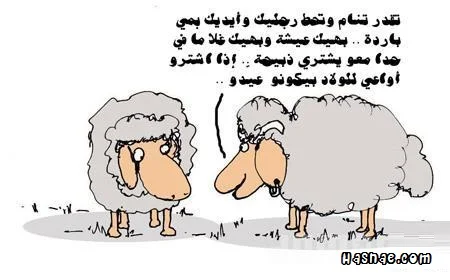Aid-Adha-Caricature-2014-Hasnae.com-5.webp