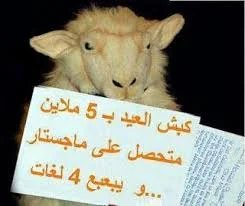 images (2).webp