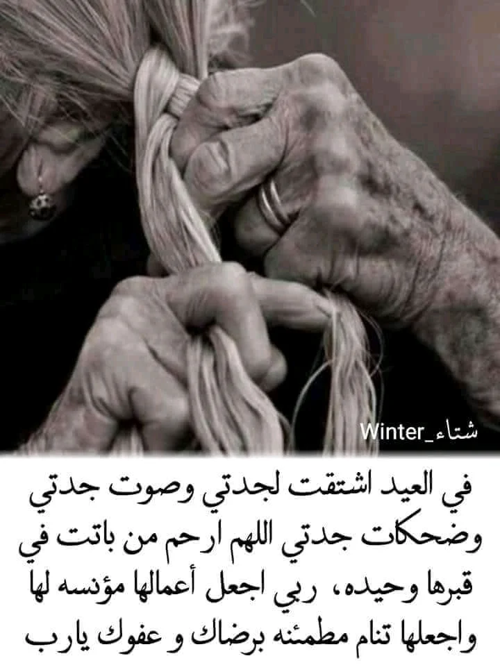 FB_IMG_15349662071242734.webp