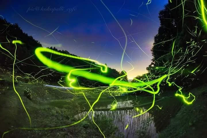 38506614_1457695204377264_8384237355380244480_n.webp