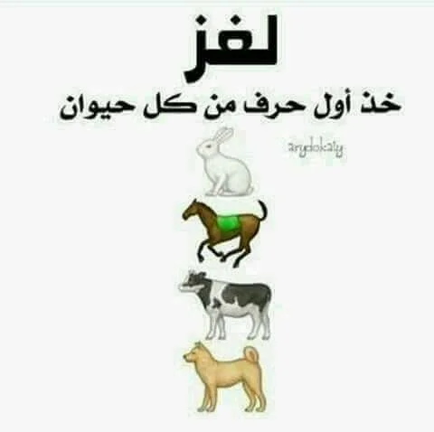 18425499_211825022666537_3801010032285577700_n (1).webp