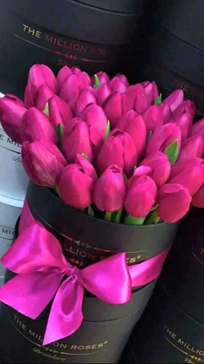 FB_IMG_15359159179849355.webp