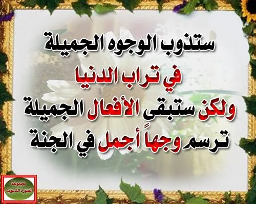 aimg.tgareed.com_imgcache_883131.webp