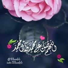 1542655085827.webp