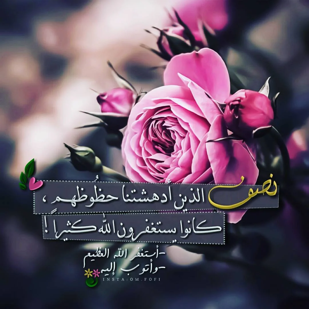 1542655175773.webp