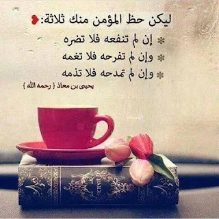 1542655498948.webp