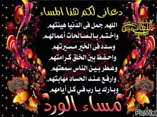 1542656608209.webp