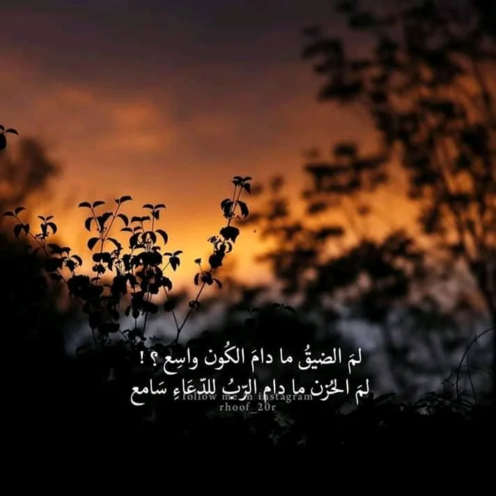 FB_IMG_15459949658088701.webp