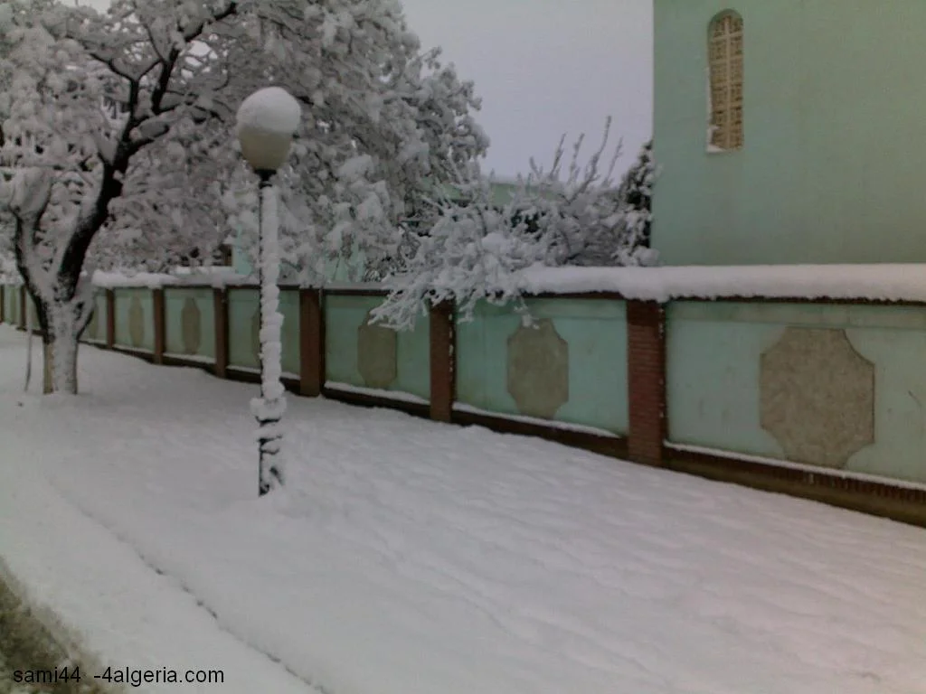 05022012175.webp