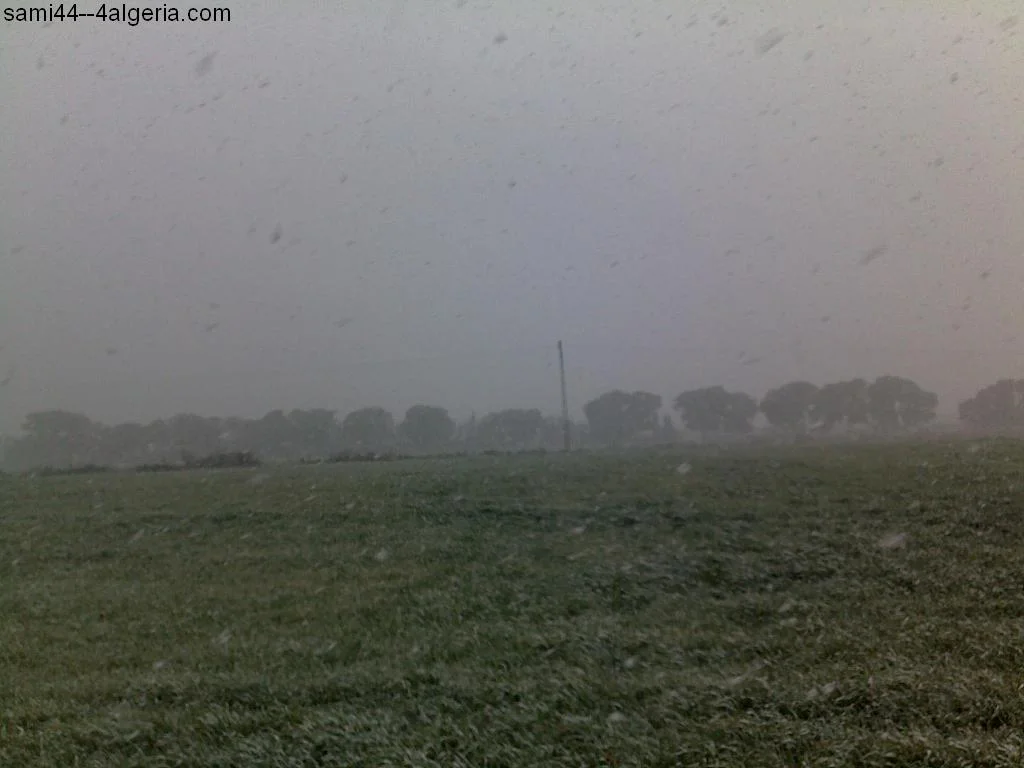 04022012124.webp