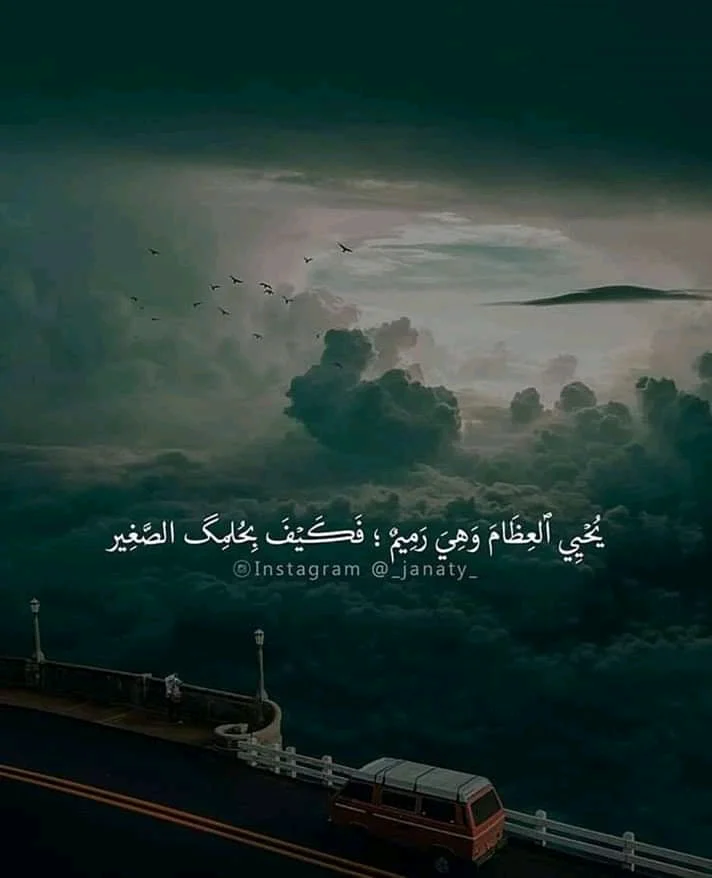 FB_IMG_15462920671622961.webp