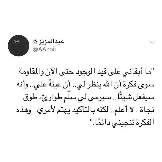 1547302603223.webp
