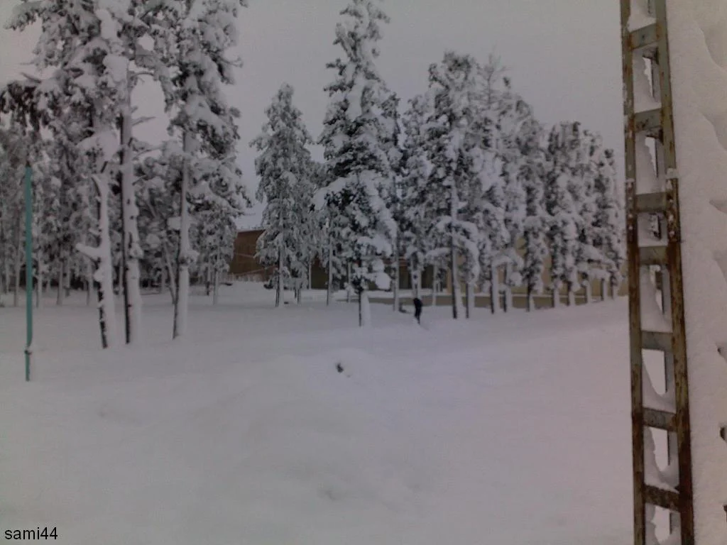05022012169.webp