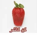 Islamic (16).webp
