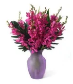 مجلة الرعد (13).webp