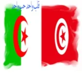 480x272 pixels.webp 480x272 pixels.webp