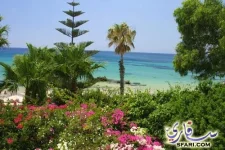entunisie4_foret.webp