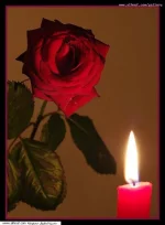 لبلادي فقط.webp