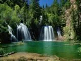 2563663101[1].webp