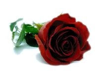 fatima.webp