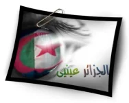 435267_l.webp