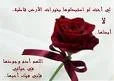 CAOLANZ3.webp