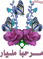 flowerpurple.gif