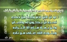 096.webp