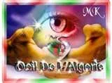 CAMROXM3.webp