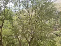 DSC01822.webp