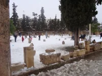 DSC01981.webp