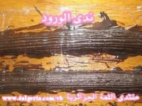 09.webp
