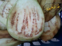 Photo-0429.webp
