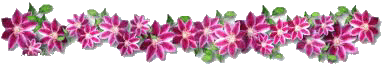 455.gif 455.gif
