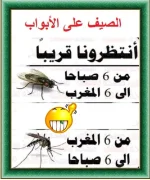 55564.webp