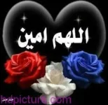7.webp